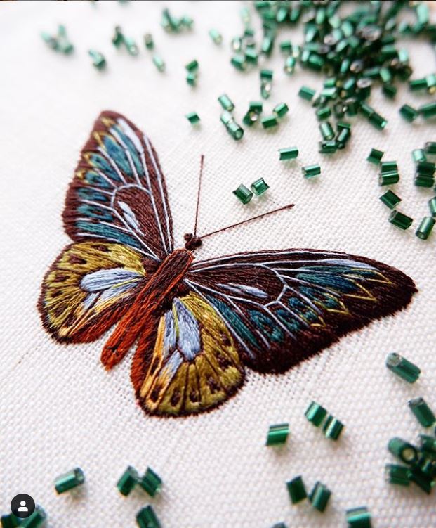 Divya Nandani raised embroidered butterfly