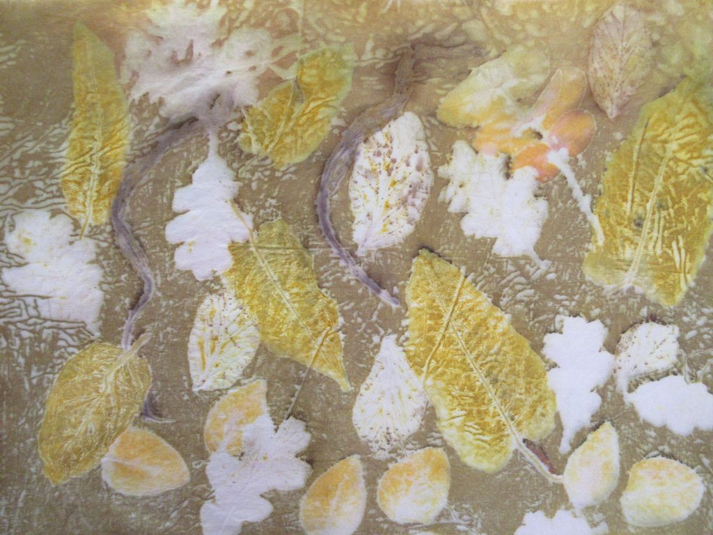 Silk dyed with onion skin