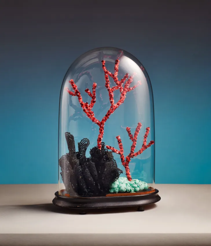 Aude Bourgine create beautiful coral sculptures.